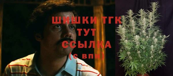 гашик Чердынь