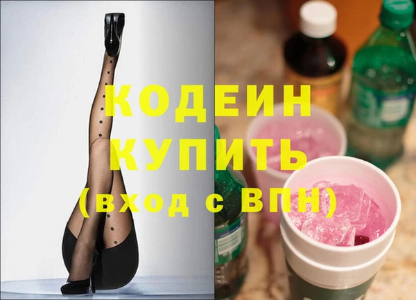 гашик Чегем