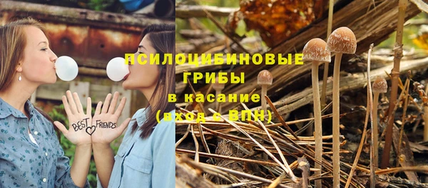 гашик Чердынь