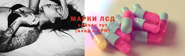 гашик Чердынь