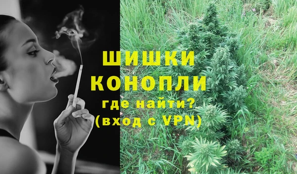 гашик Чегем