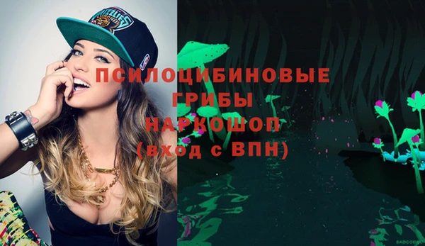гашик Чердынь