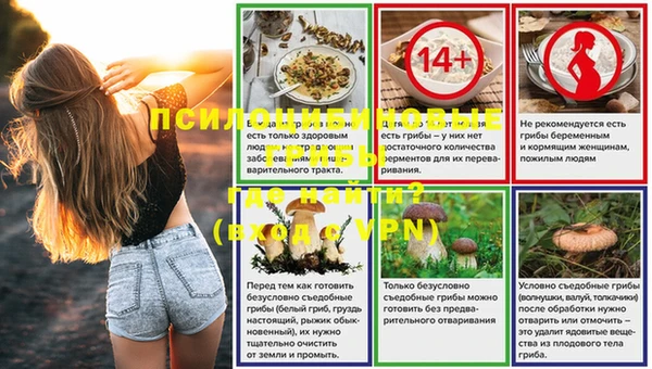 гашик Чегем