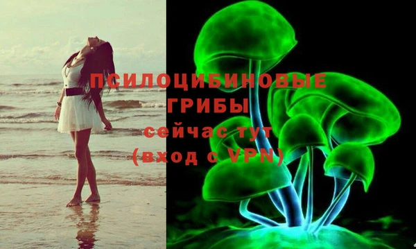гашик Чердынь