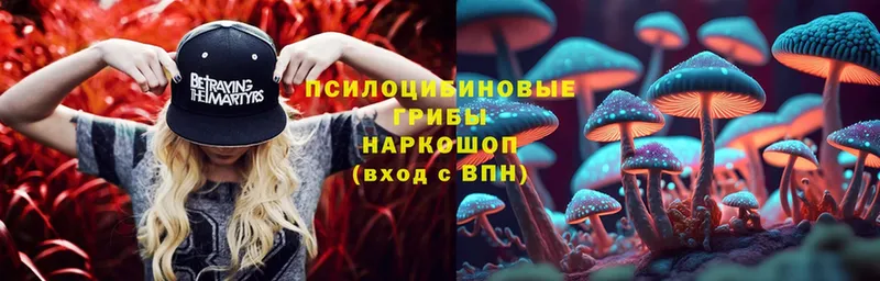 kraken сайт  Нижнекамск  Псилоцибиновые грибы мицелий 