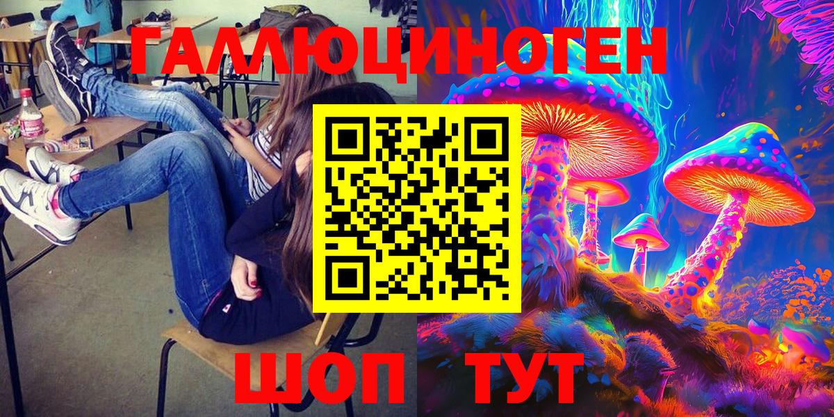 Псилоцибиновые грибы Psilocybe  Вход с VPN  Нижнекамск  Псилоцибиновые грибы GOLDEN TEACHER 