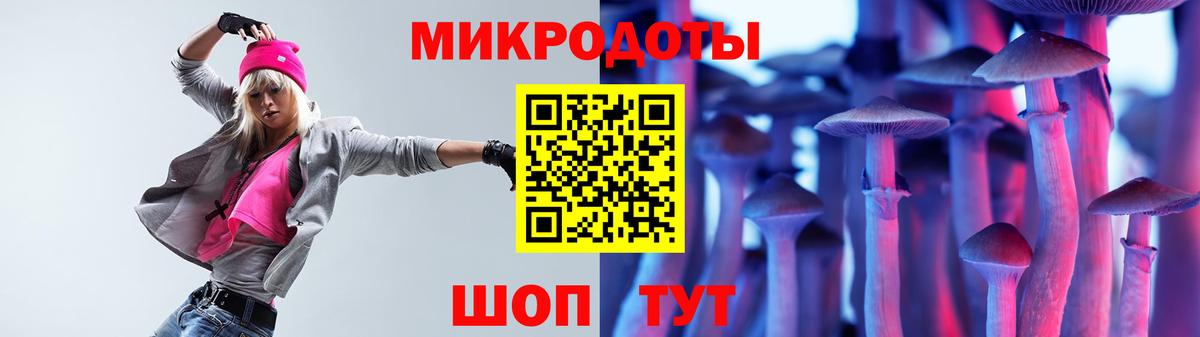 Псилоцибиновые грибы Psilocybe  Нижнекамск 